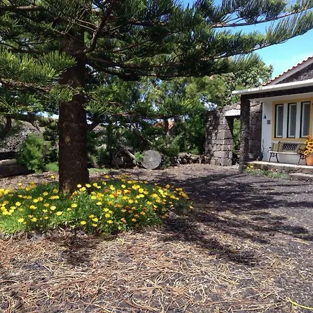 Villa Casa Da Costa à Madalena  Extérieur photo