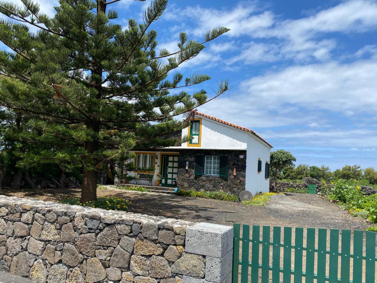 Hébergement de vacances Casa Da Costa Madalena (Azores)