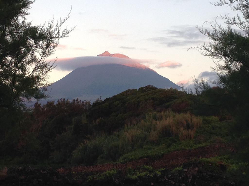 Casa Da Costa Hébergement de vacances Madalena (Azores)