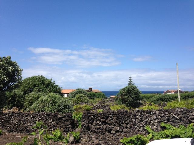 Hébergement de vacances Casa Da Costa *